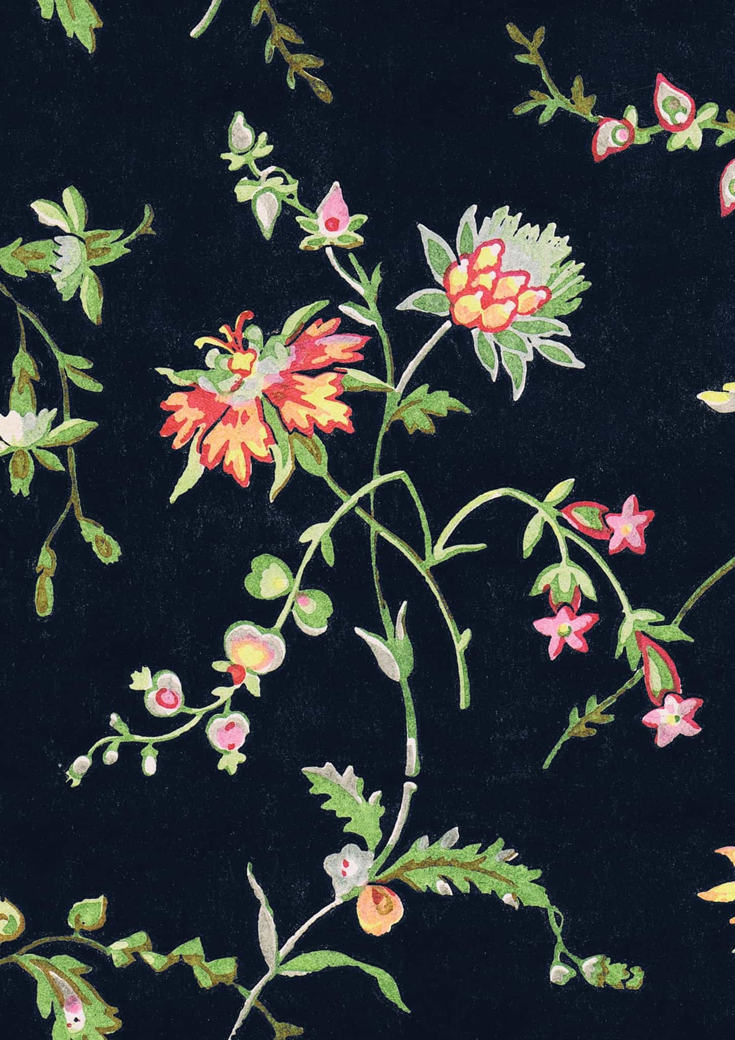 No.016 - Midnight Blooms - Vintage Archive Poster Prints