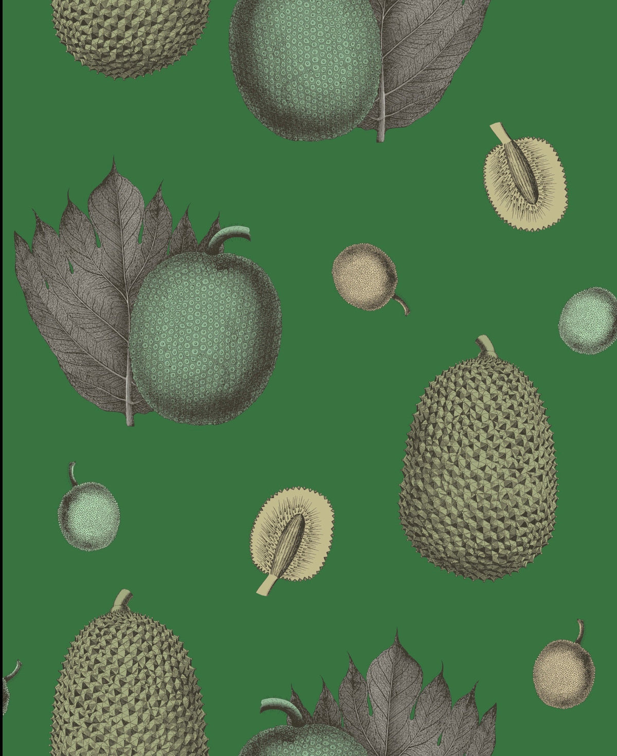 Tropical Fruit Wallpaper- Coral
