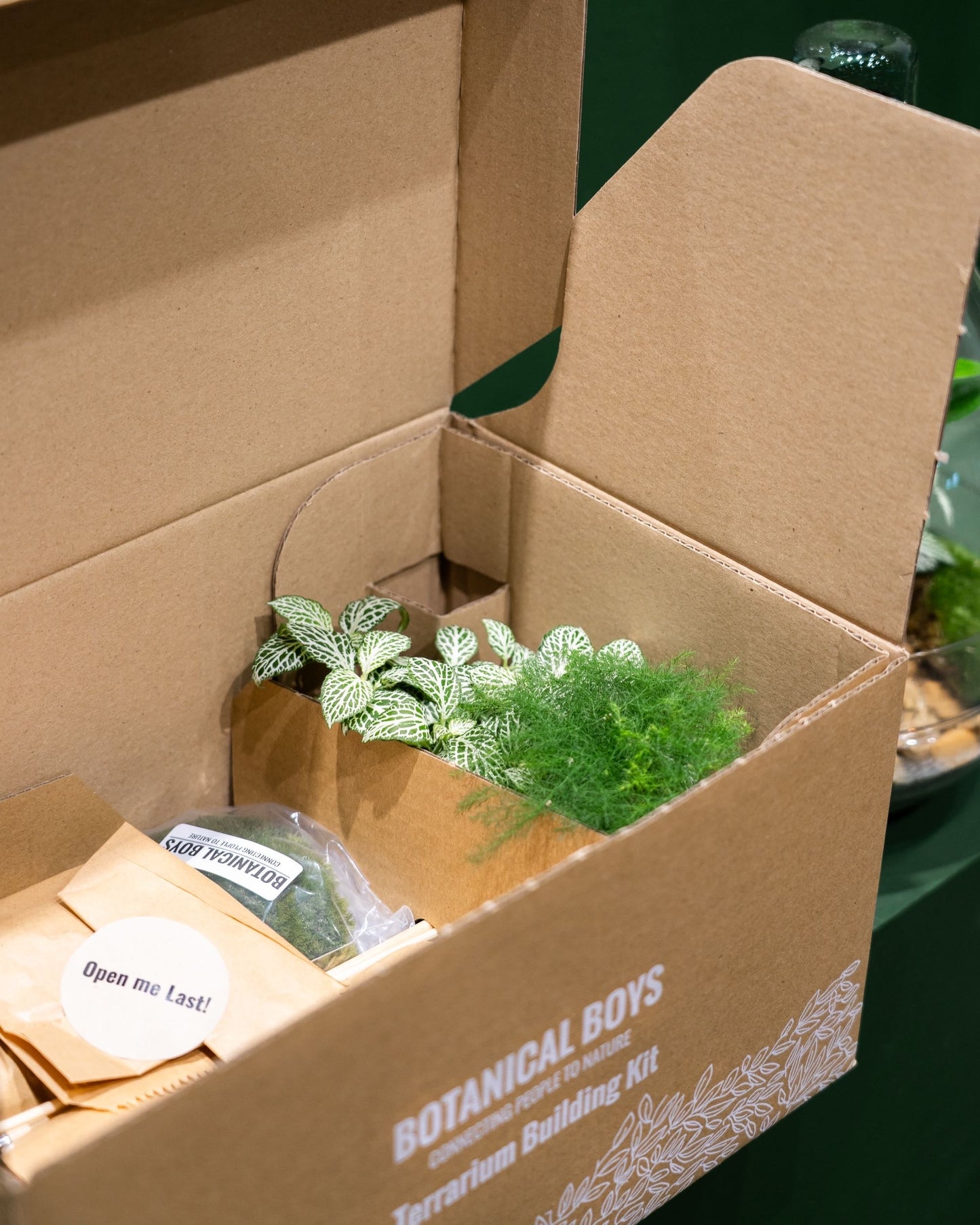 Eden Dome Terrarium Kit 16.5cm