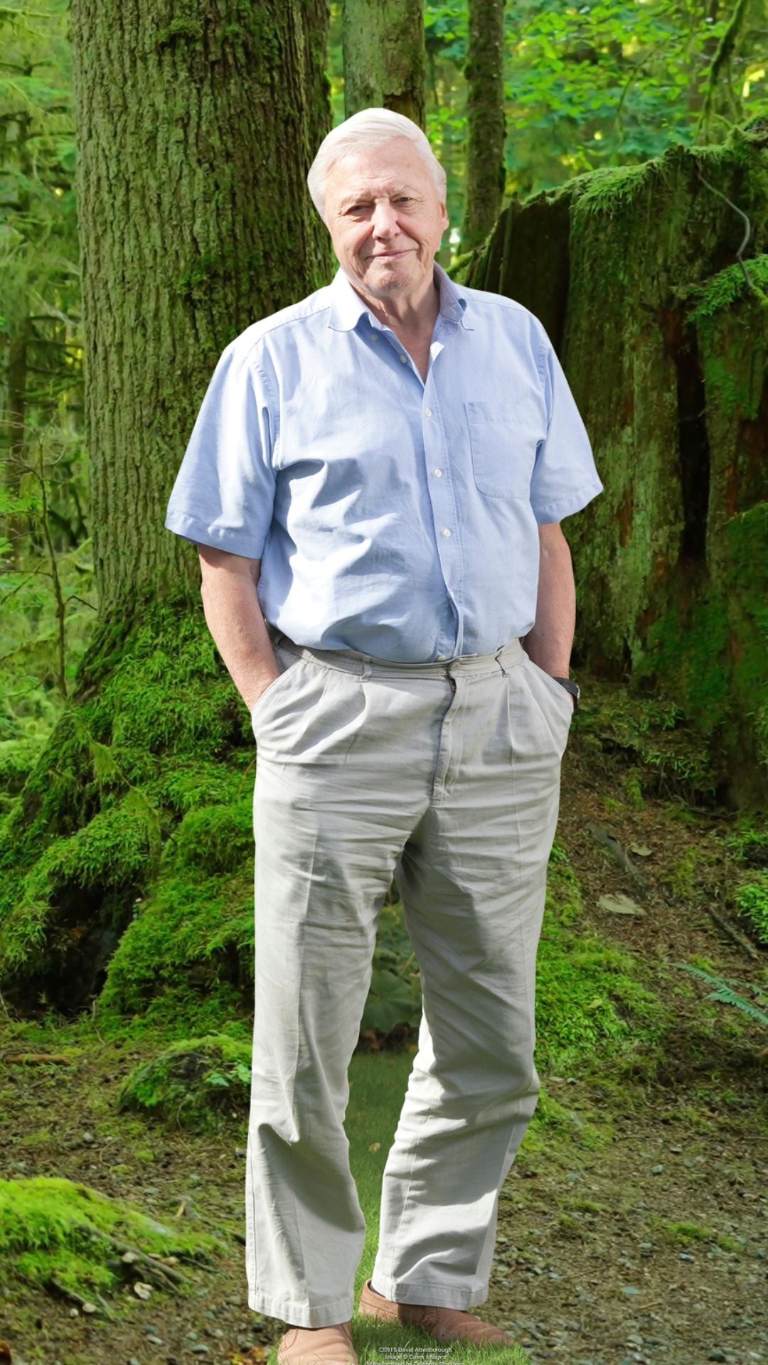 CS774 David Attenborough Height 178cm Lifesize Cardboard Cut Out With Mini