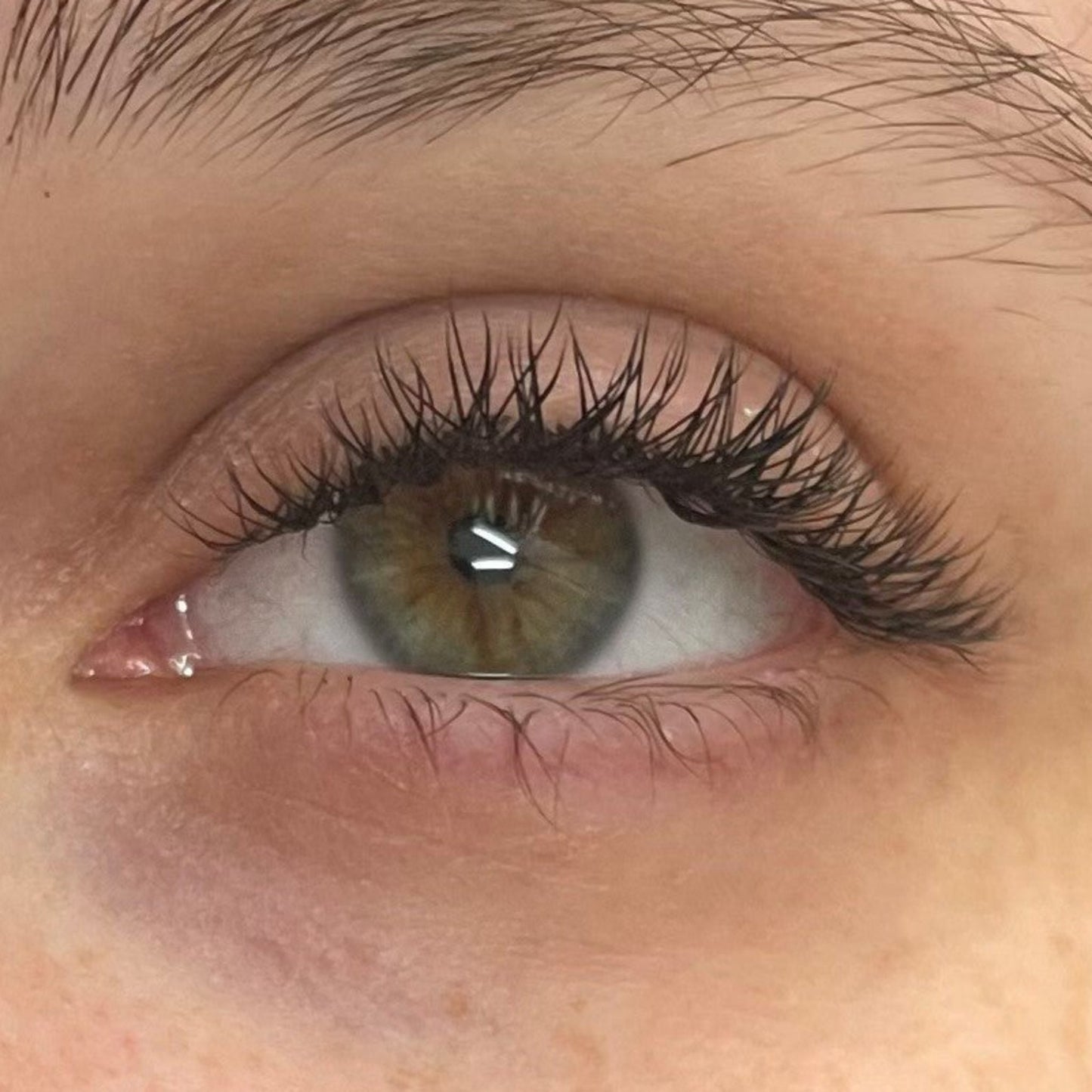 YY Lashes – 16 Row Single Length Trays