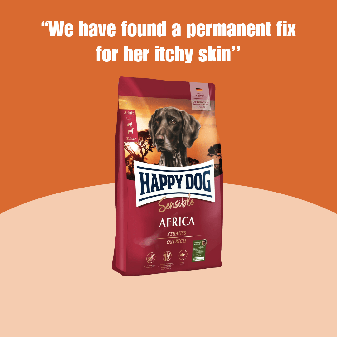 Happy Dog Africa