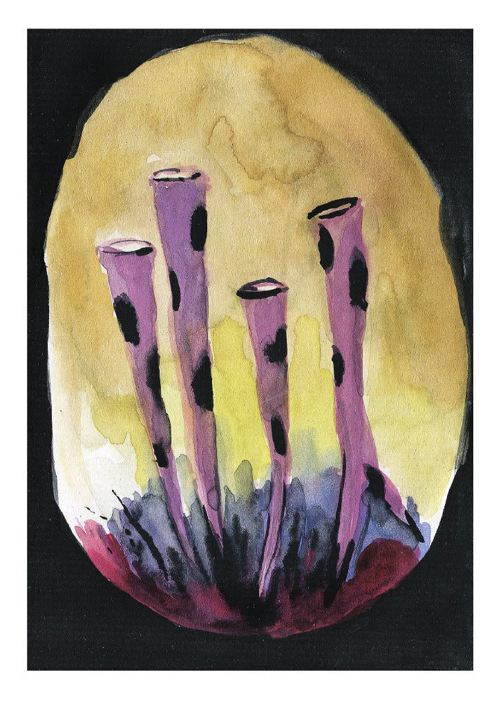 2017 Individual Postcards