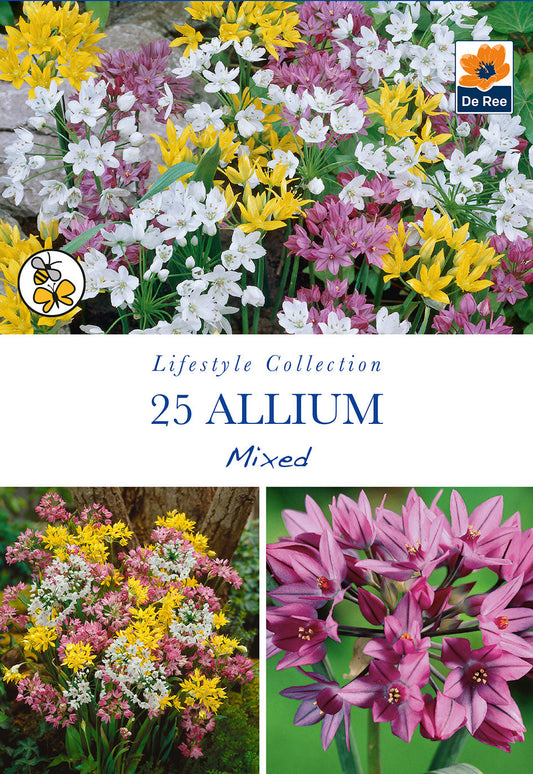 Allium Mixed Bulbs (25 Bulbs)