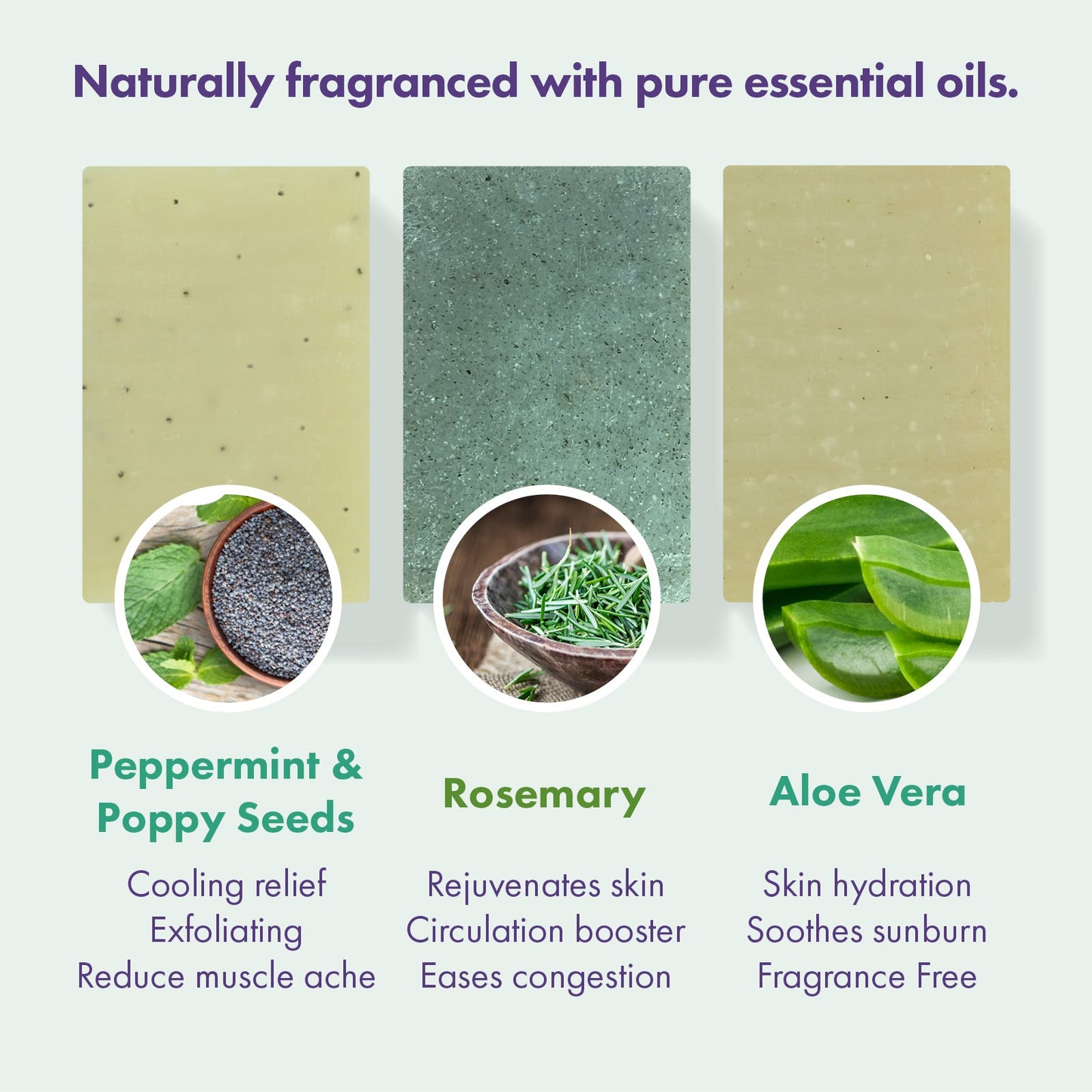 Trio Gift Set - Peppermint & Poppy Seeds, Rosemary, Aloe Vera