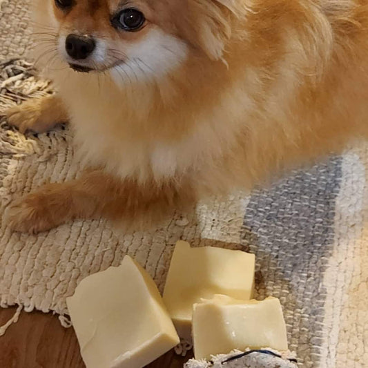 Dog Shampoo Mutt Wash