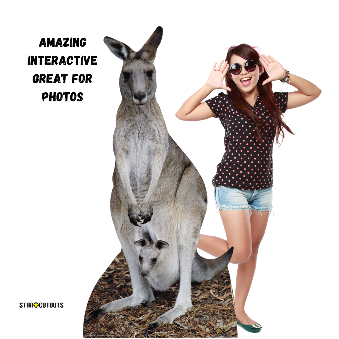 SC073 Kangaroo Cardboard Cut Out Height 195cm