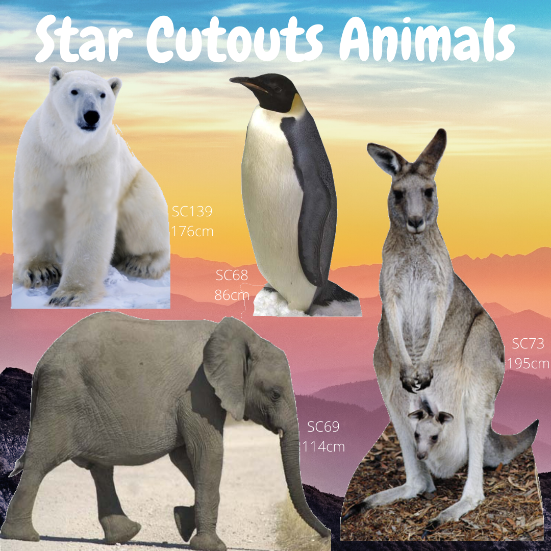 SC072 Bear Cardboard Cut Out Height 165cm