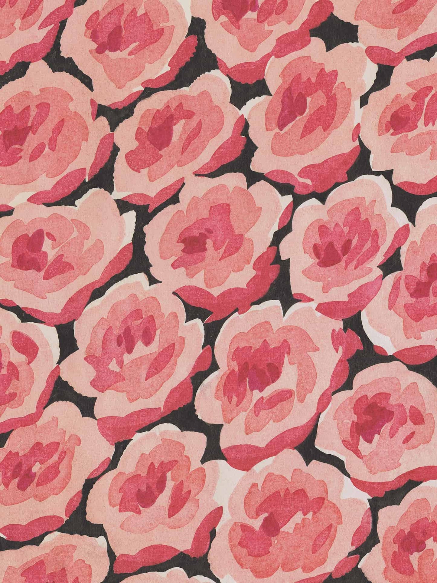 No.006 -  Baby Rose - Vintage Archive Poster Prints