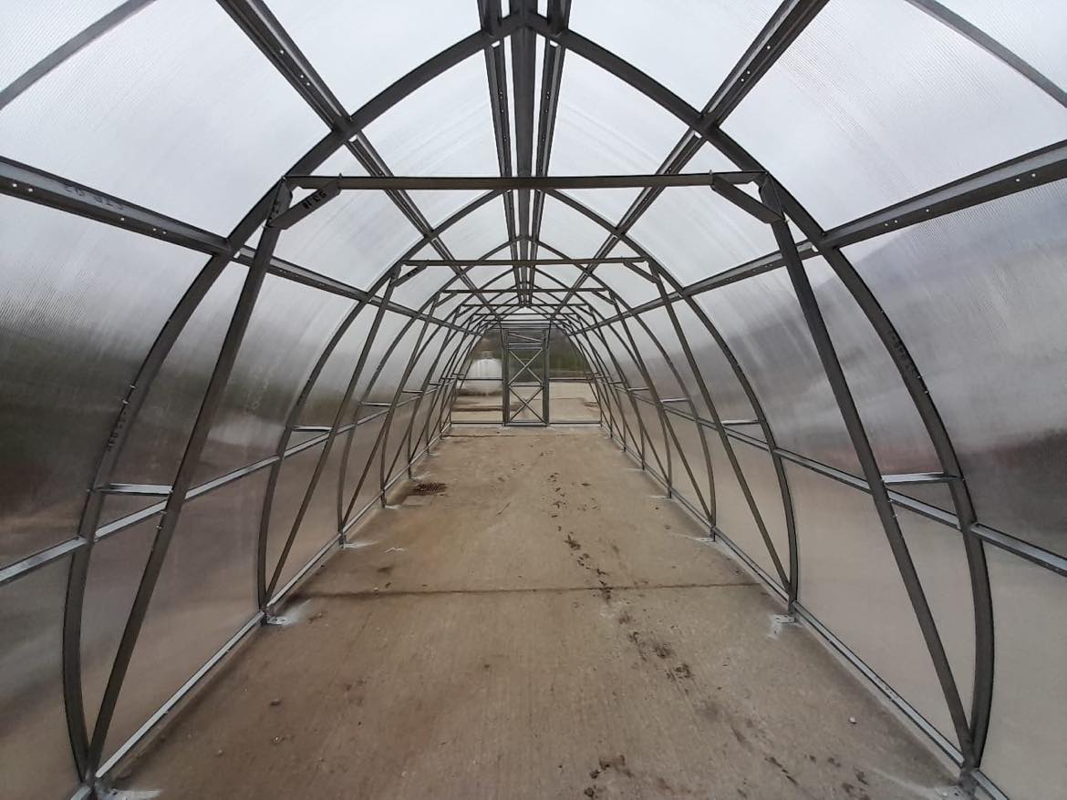 GREENHOUSE SUNGROW, 30M² (3M X 10M; 9.8FT X 33FT)