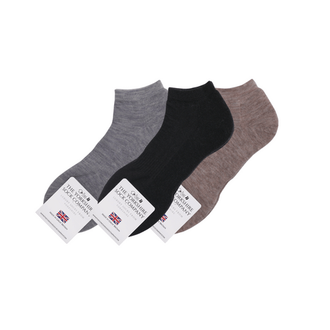 Ashville Pro Merino Mens Trainer Sock - Cushioned Sole - 3 Mixed Pair Bundle