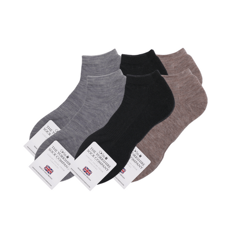 Ashville Pro Merino Mens Trainer Sock - Cushioned Sole - 6 Pair Mixed Bundle