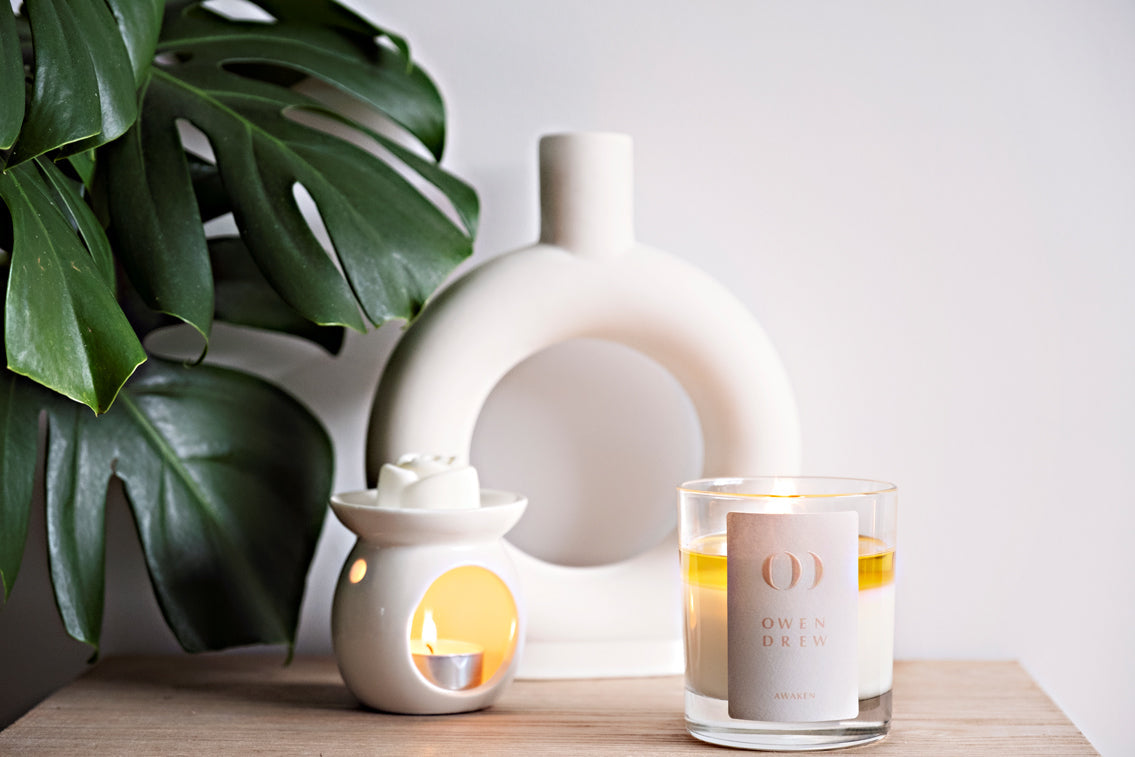 CALM NATURAL SOY WAX MELTS (SPA COLLECTION)