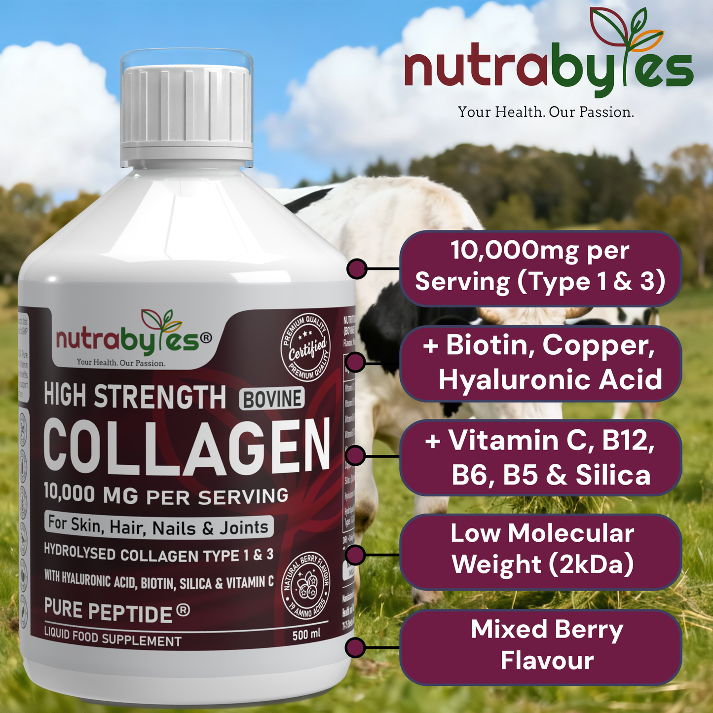 High-Strength Liquid Bovine Collagen Supplement for Women and Men, 10,000 mg Liquid Collagen with Hyaluronic Acid and Vitamin C, 19 Amino Acids, Collagen Types 1 and 3, Berry Flavoured, Halal & Kosher certified