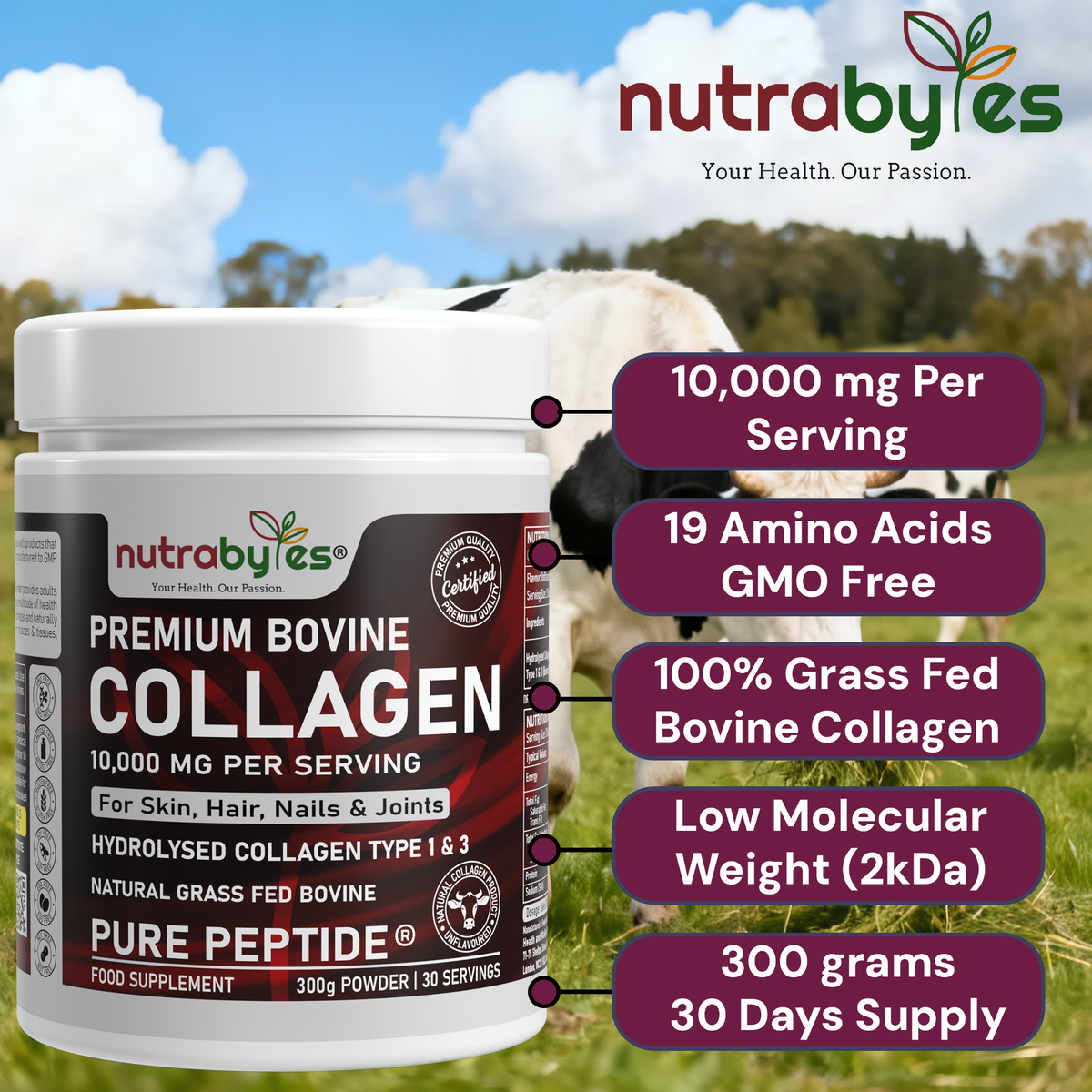 Premium Bovine Collagen Powder 10,000mg | Grass Fed | 19 Amino Acids