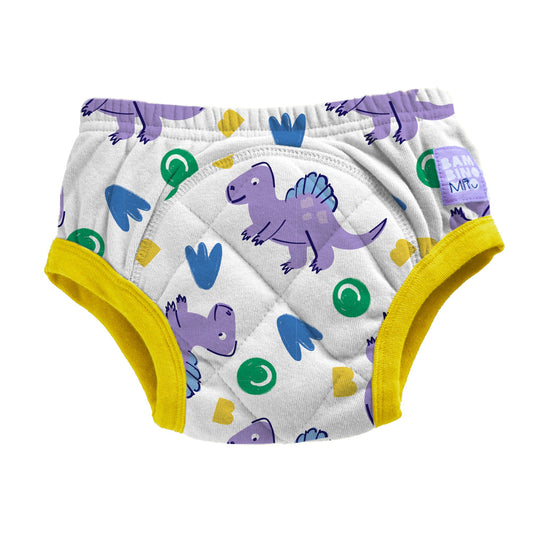 Reusable Potty Training Pants Enhanced Design in Crash