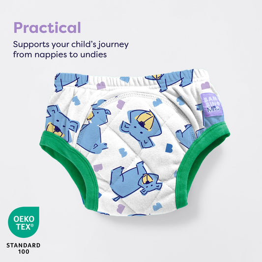 Reusable Potty Training Pants Enhanced Design in Champ