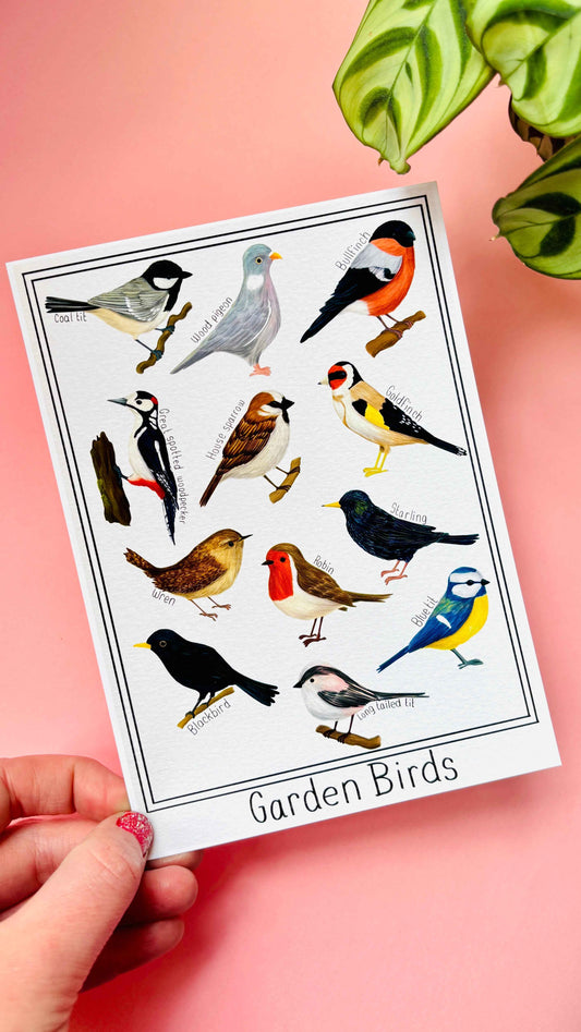 Garden British Birds Art Print-: Multiple Sizes available