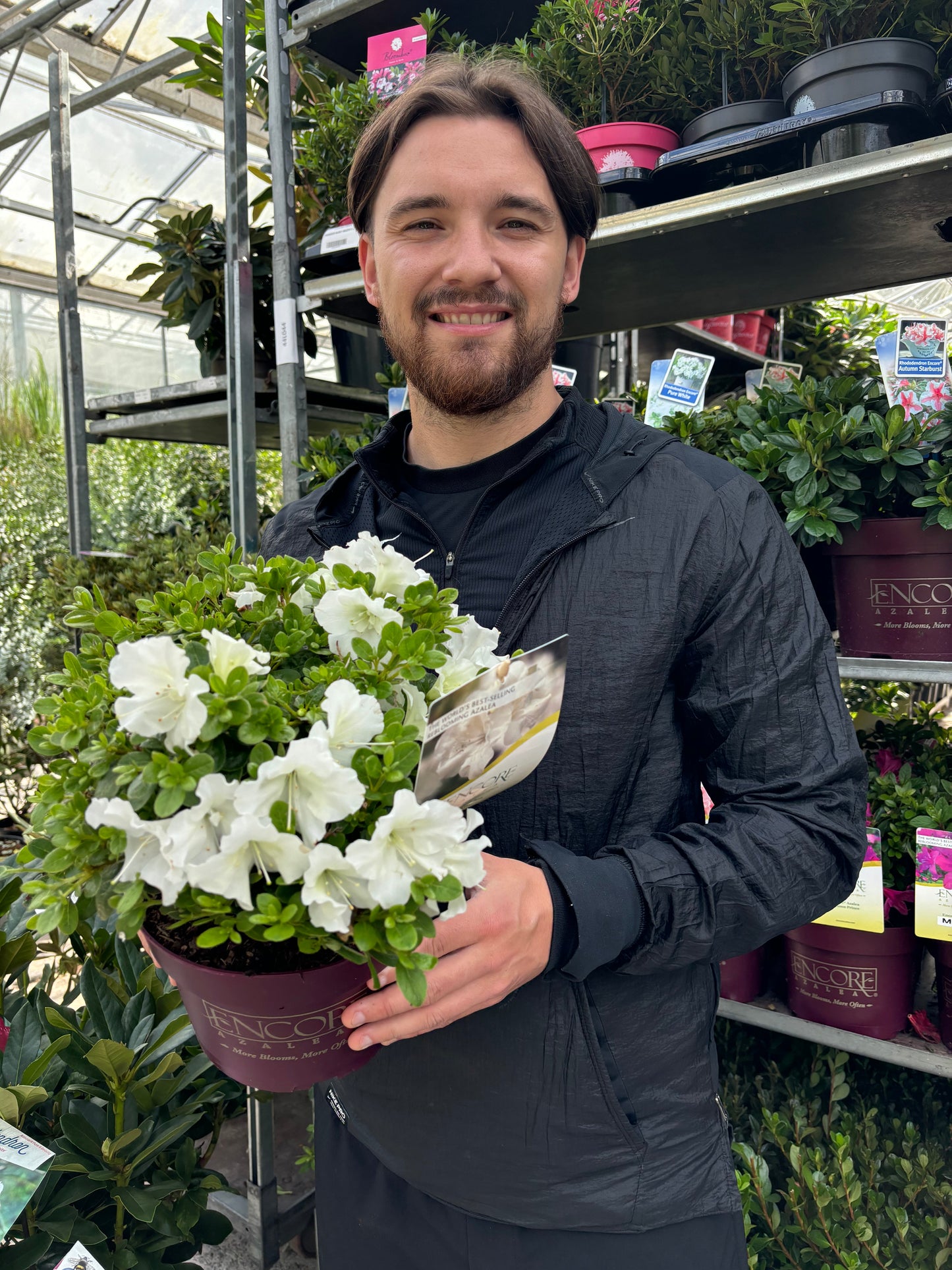 Azalea Encore 'Autumn Pure White' 3L