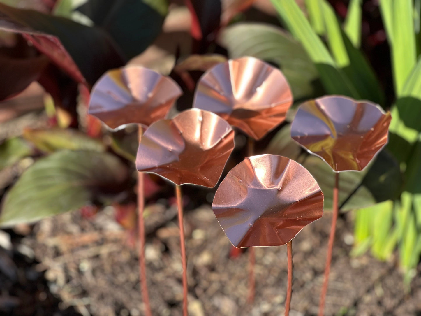 5 x Copper Bee Drinker Bundle