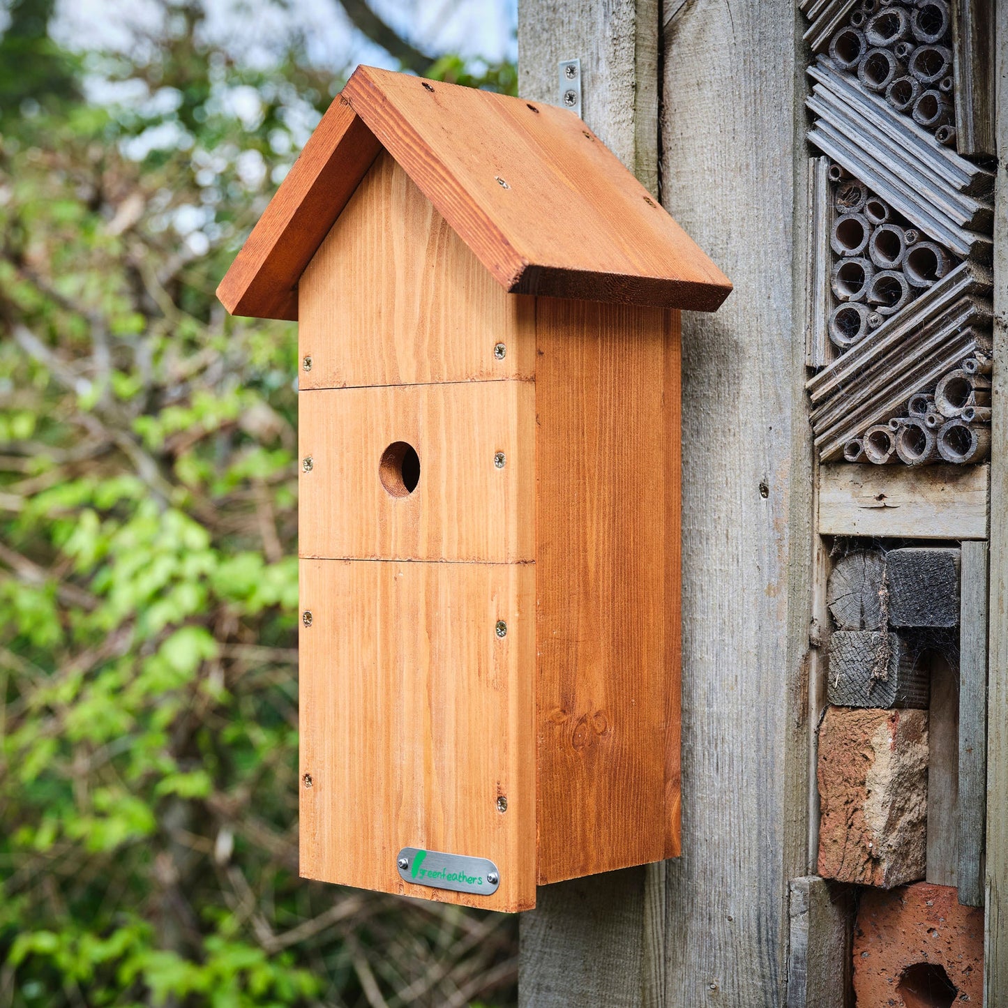 4MP 25fps Wired Network Bird Box HD Camera Starter Pack (2nd Gen)