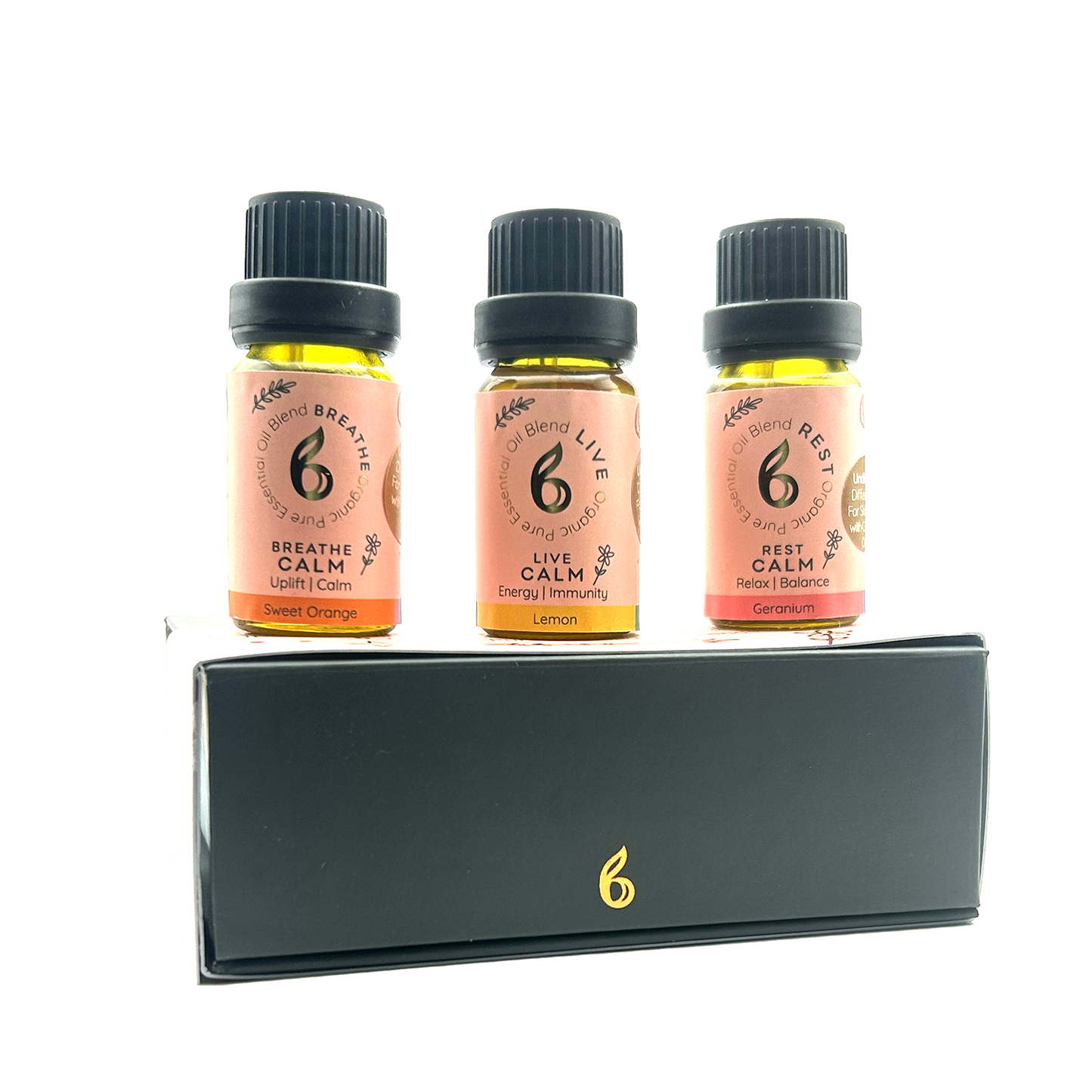 Aroma Diffuser with Blended Oil Steps