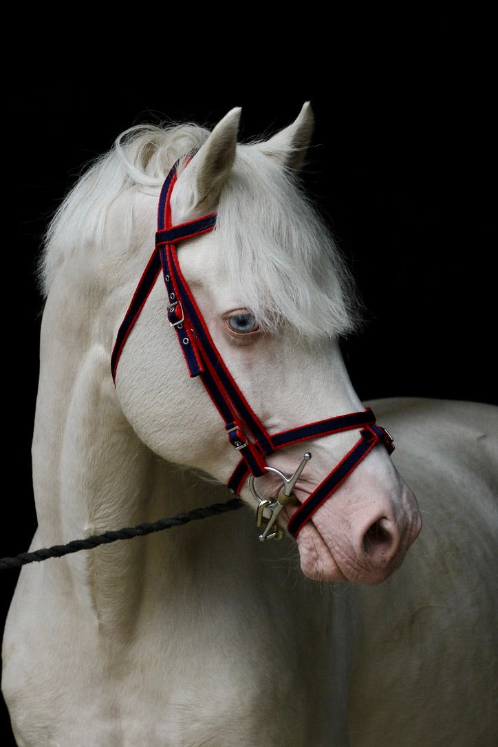 Standard Bridle - Cavesson Noseband