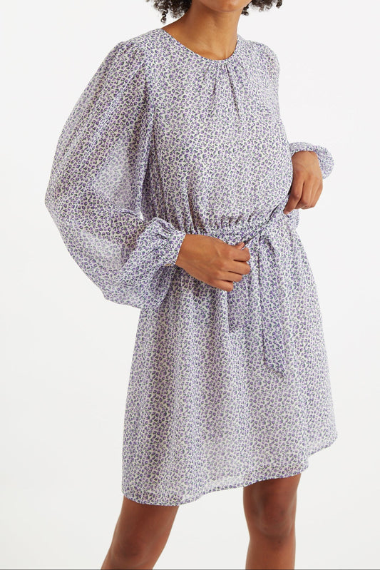 Belynda Rosetta Long Sleeve Mini Dress