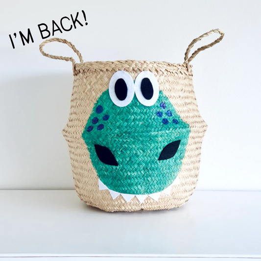 Dinosaur Basket - Large