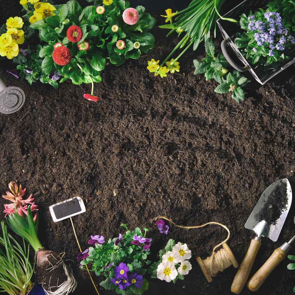 Bordermix® Welsh Topsoil for plants and flowers