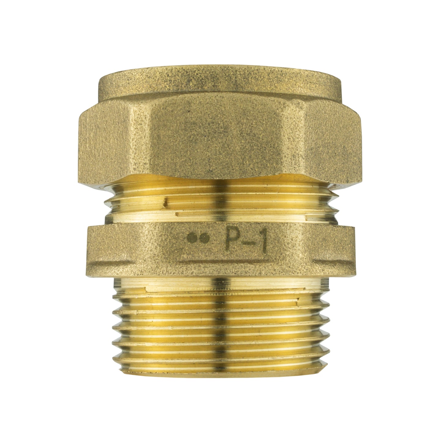 Brass Compression 22mm Straight with 25mm MDPE Straight