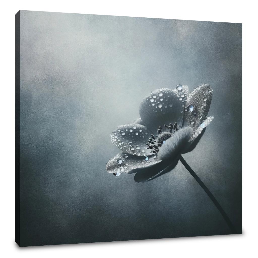 Dew-Kissed Solitude Canvas