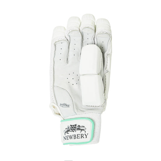 Kudos Cricket Batting Gloves