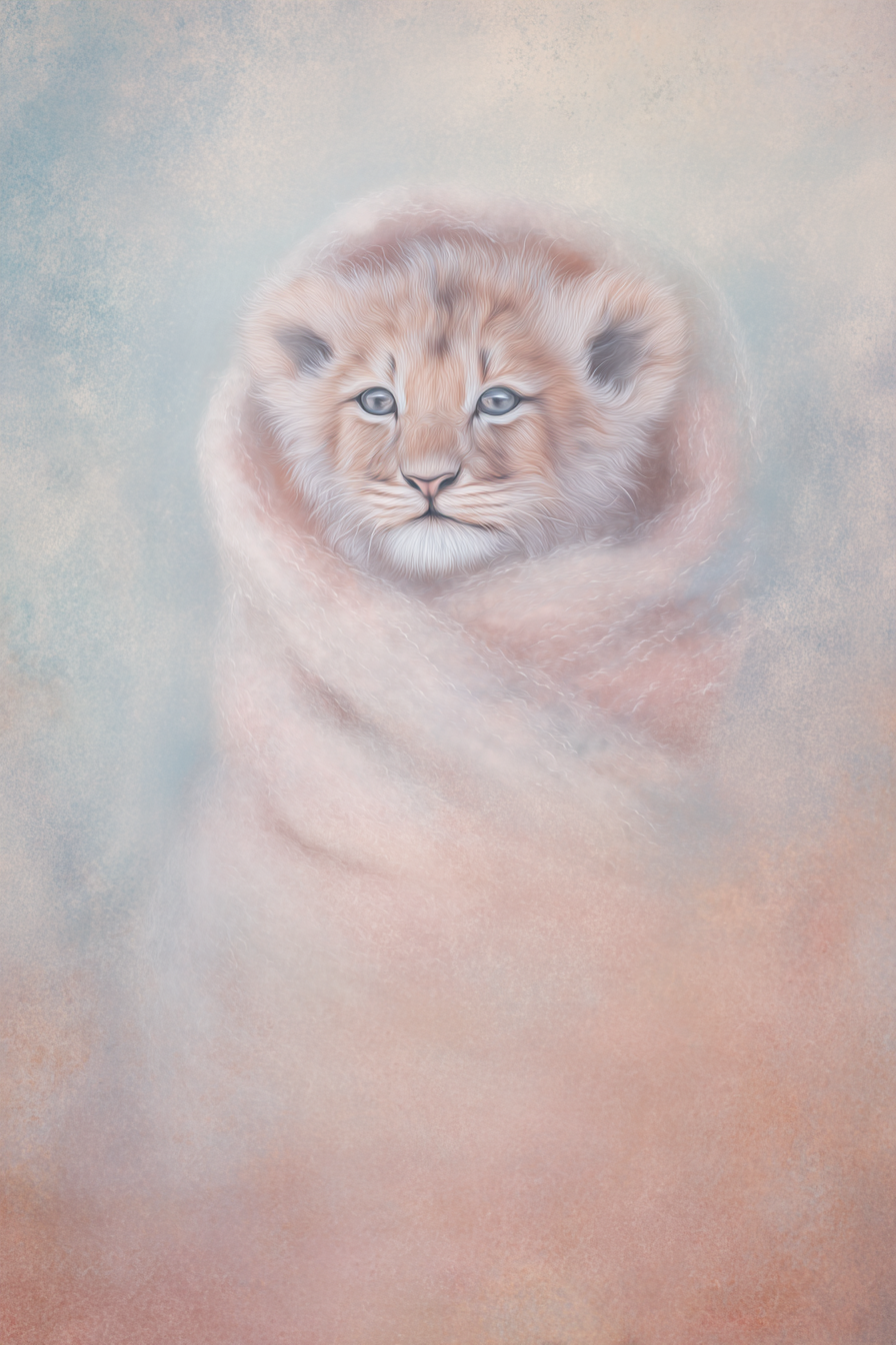 Baby Lion Comfort Canvas