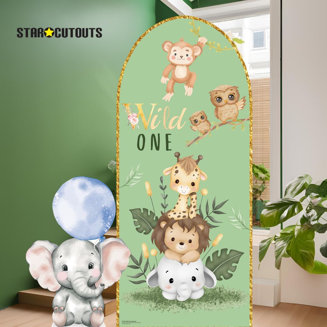 SC4616 Wild One Backdrop Sailboard Cardboard Cut Out Height 185cm