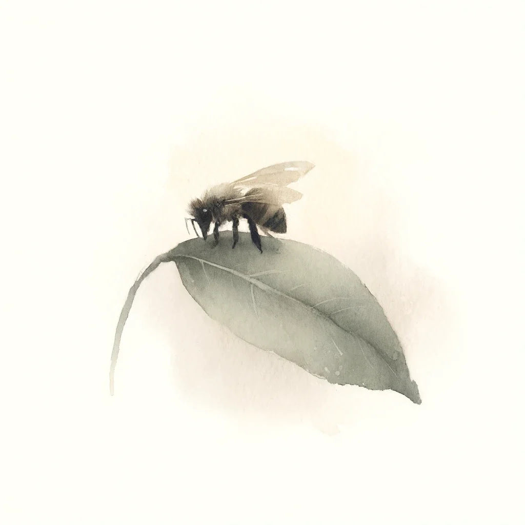 Bee's Quiet Moment Canvas