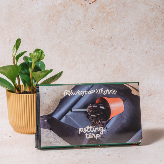 WHOLESALE POTTING TARP - 2 SIZES