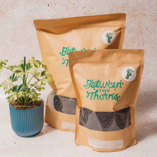 Cacti and Succulent Soil Mix- 500g/1kg Peat Free