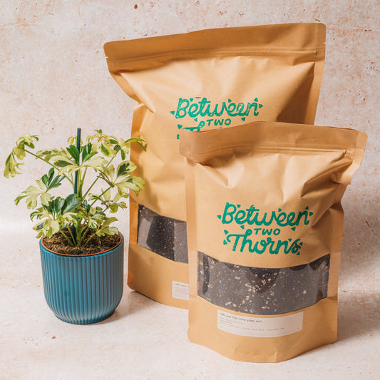 WHOLESALE PEAT FREE HOUSEPLANT SOIL