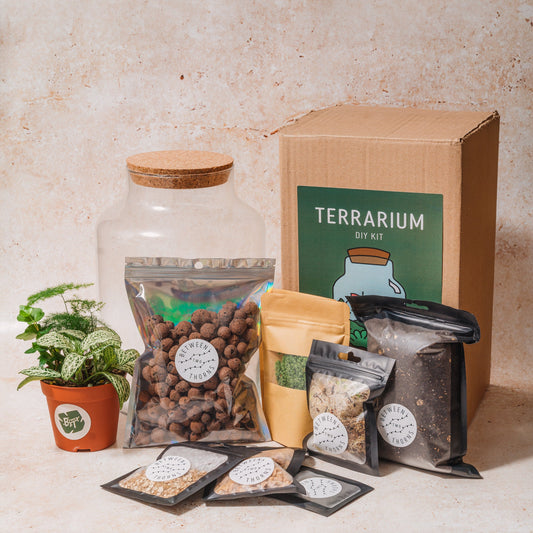 DIY Closed Terrarium Kit - Two Sizes!