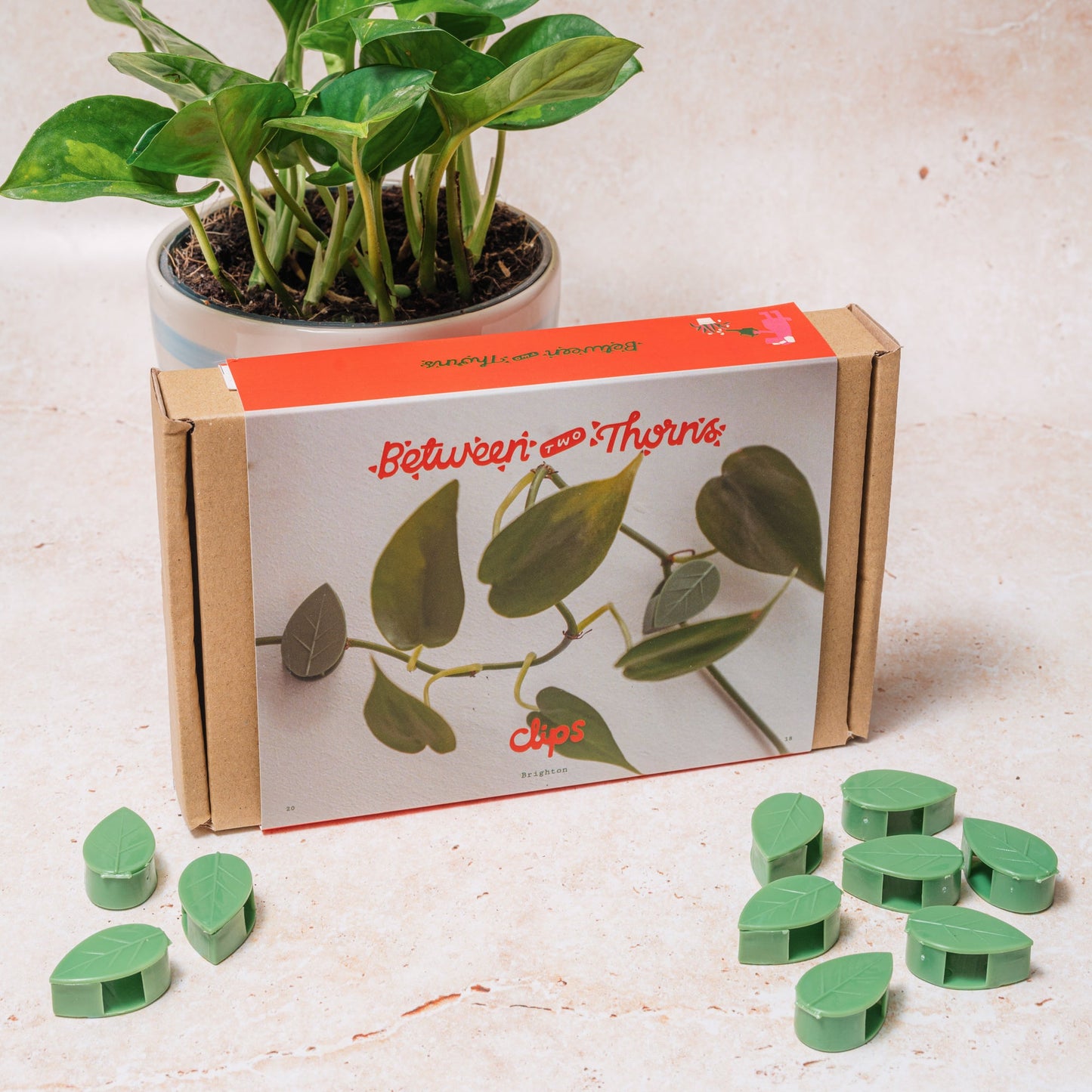 WHOLESALE PLANT CLIPS