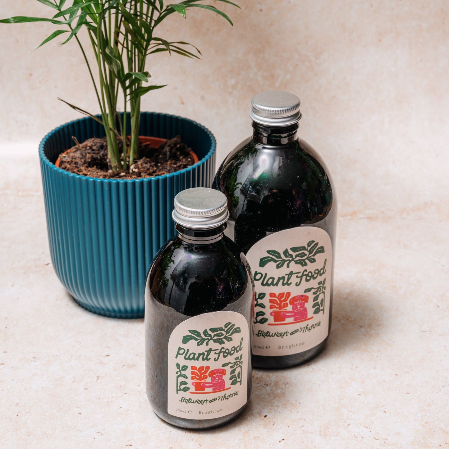 WHOLESALE BETWEEN TWO THORNS SEAWEED FEED