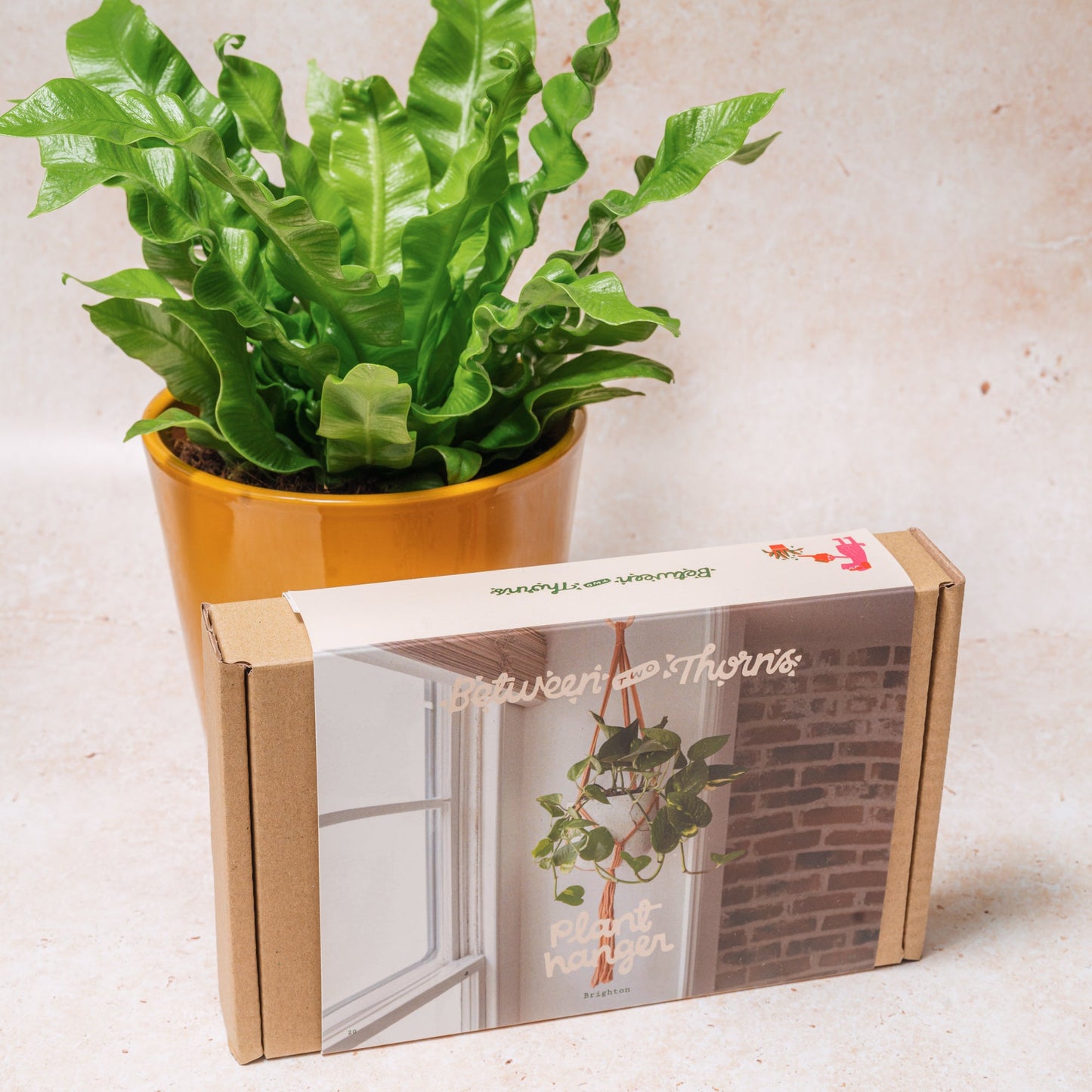 WHOLESALE MACRAME HANGER WITH WOODEN HANGER