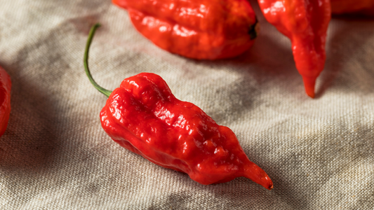Bhut Jolokia Red