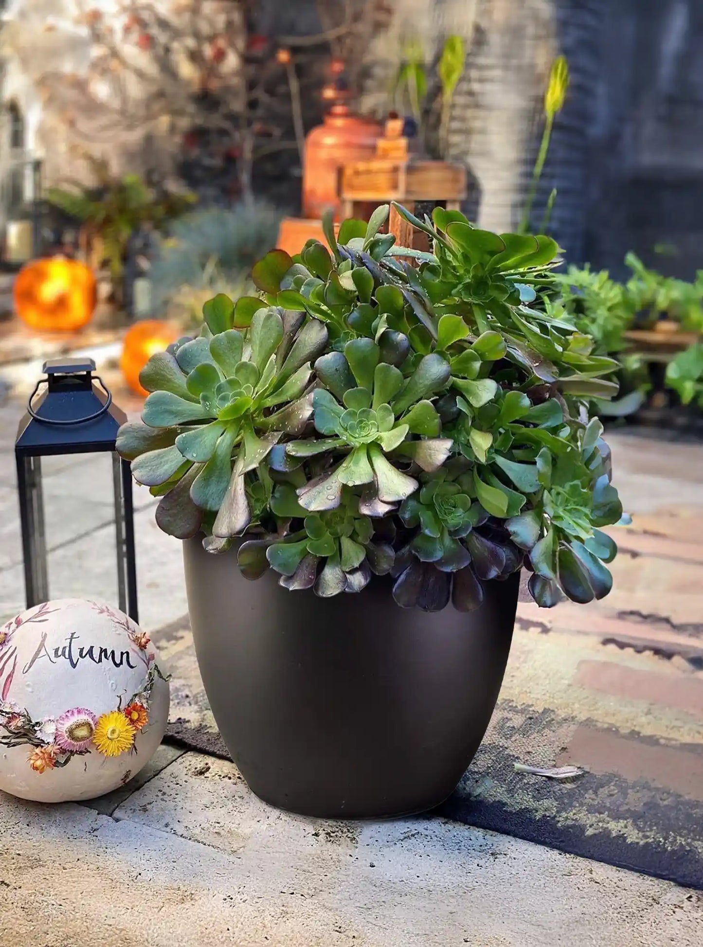 IDEALIST Lite 50cm Large Garden Planter for Trees | Washed Light Concrete Egg Round Planter | Contemporary Outdoor Plant Pot D50 H50 cm, 98L