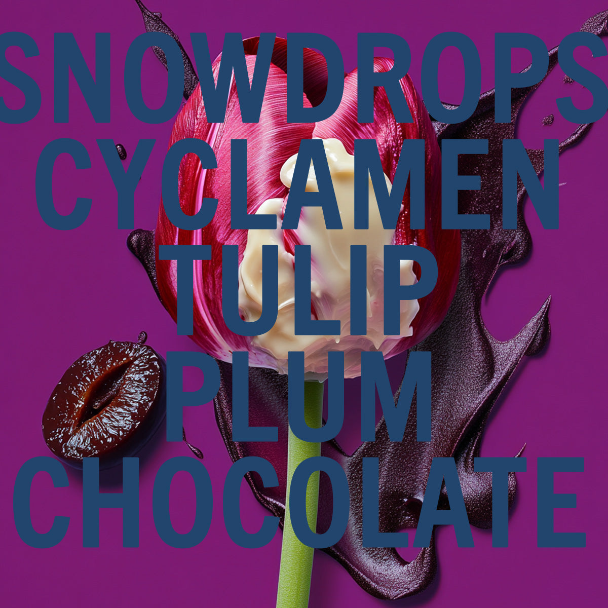 Black Tulip Fragrance 10ml