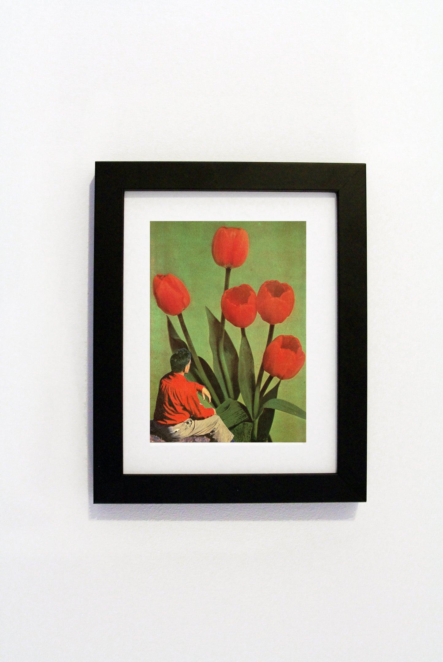 Steven Quinn - Deranged & Arranged