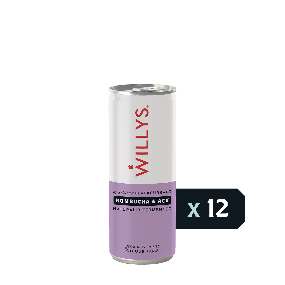 Fermented Blackcurrant Switchel