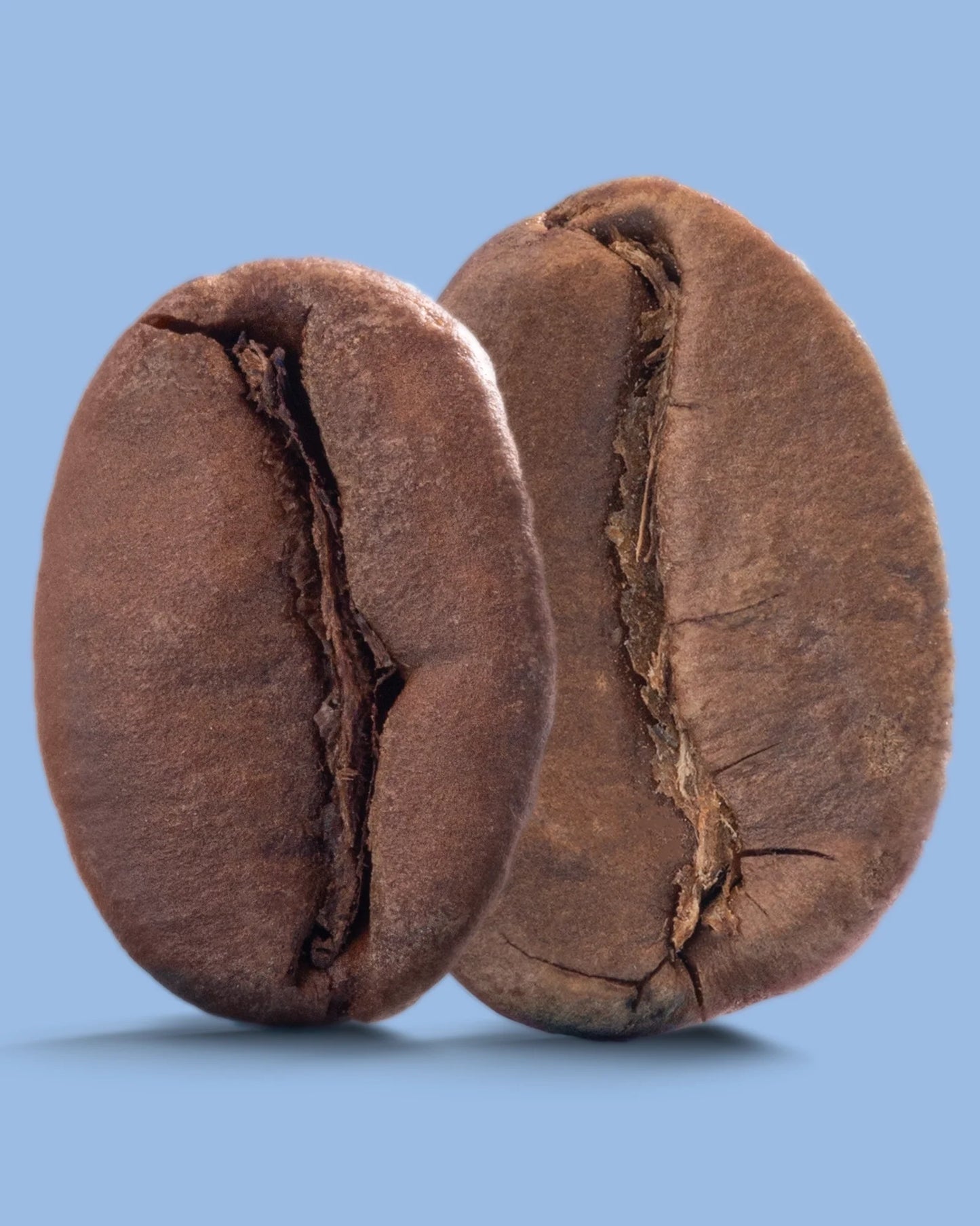 Aire Street Blend