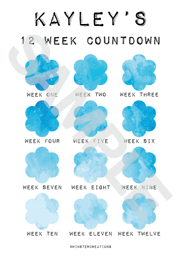 Personalised A4 Any Name 12 Week Countdown Weight Loss Chart Tracker Print - Assorted Designs - Laminated With Drywipe Pen